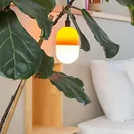 Hotel Popstel Istanboel